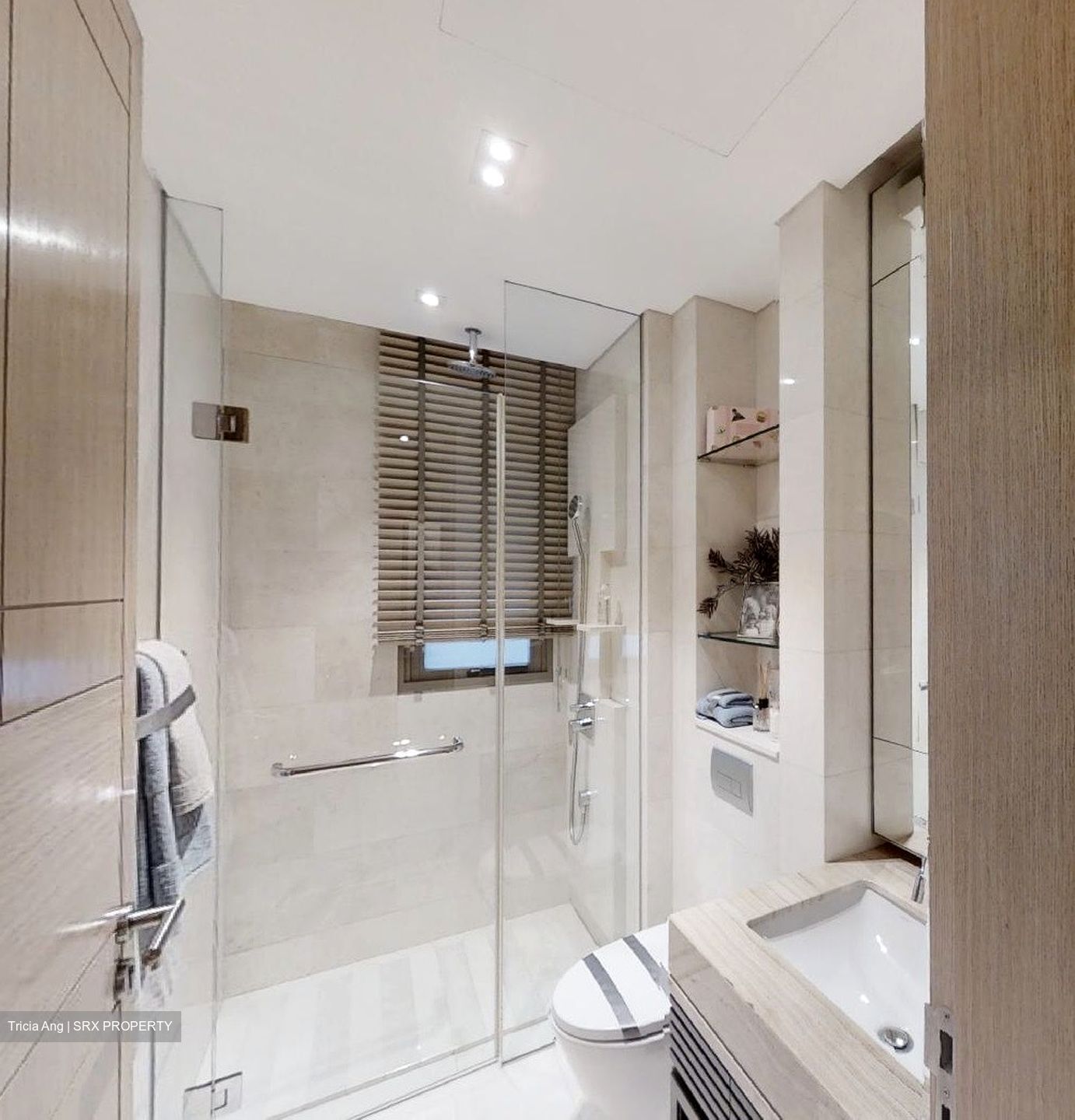 Bishopsgate Residences (D10), Condominium #381068421